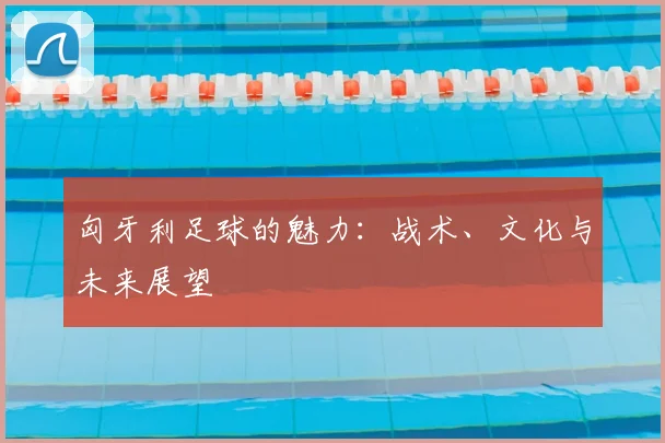 匈牙利足球的魅力:战术、文化与未来展望