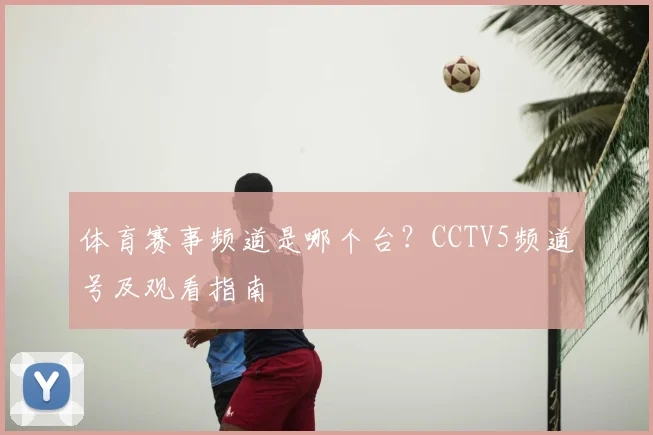 体育赛事频道是哪个台？CCTV5频道号及观看指南